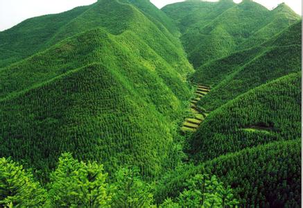 某旅游集團(tuán)財(cái)務(wù)管理咨詢(xún)案例